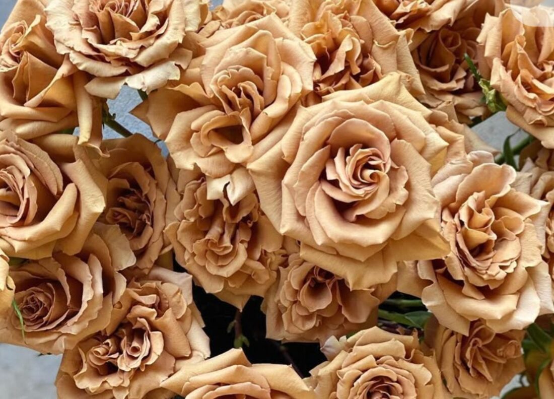 5a0a6826-55ac-438d-8c94-22bd77846308-1_all_34297