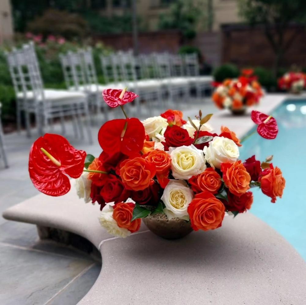 Screenshot_20240919_210533_Instagram